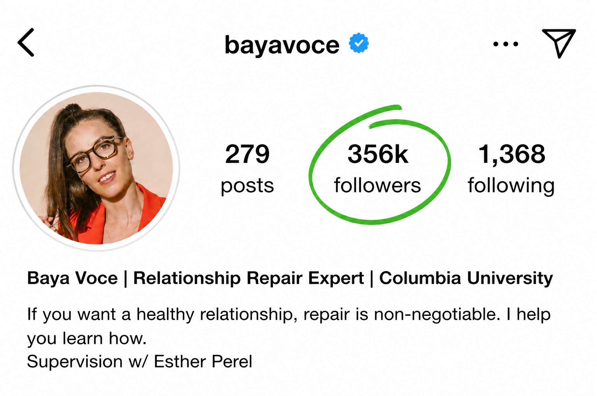 Baya Voce Instagram account after growth