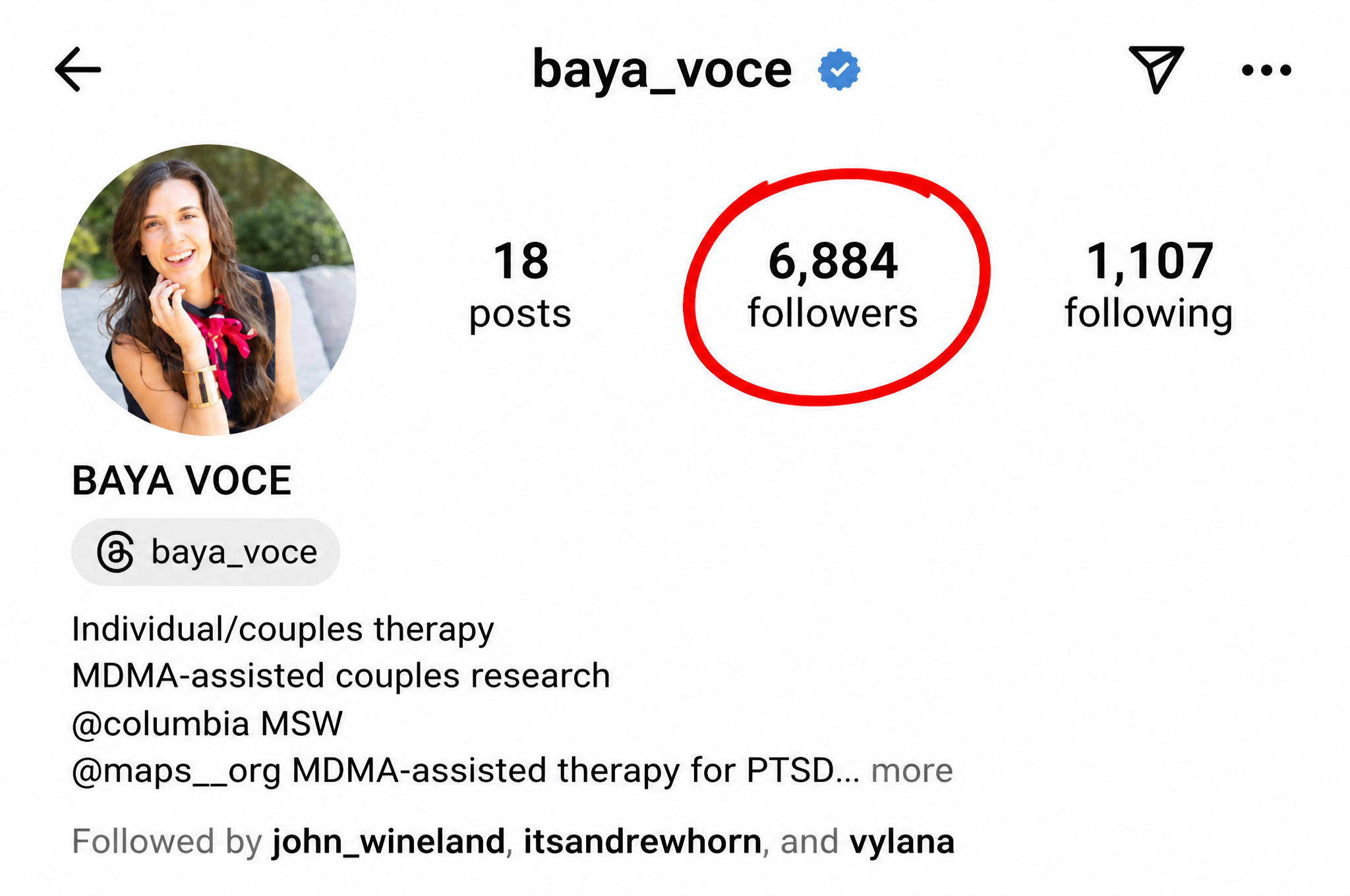 Baya Voce Instagram account before growth